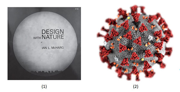 Covid Virus and Design with Nature McHarg Images