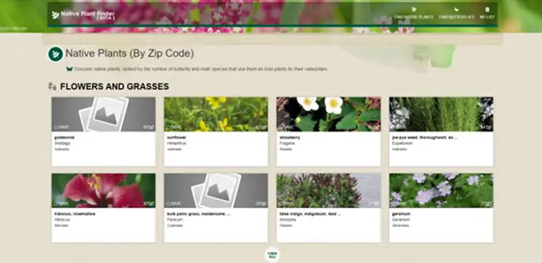 Plant Finder Website image