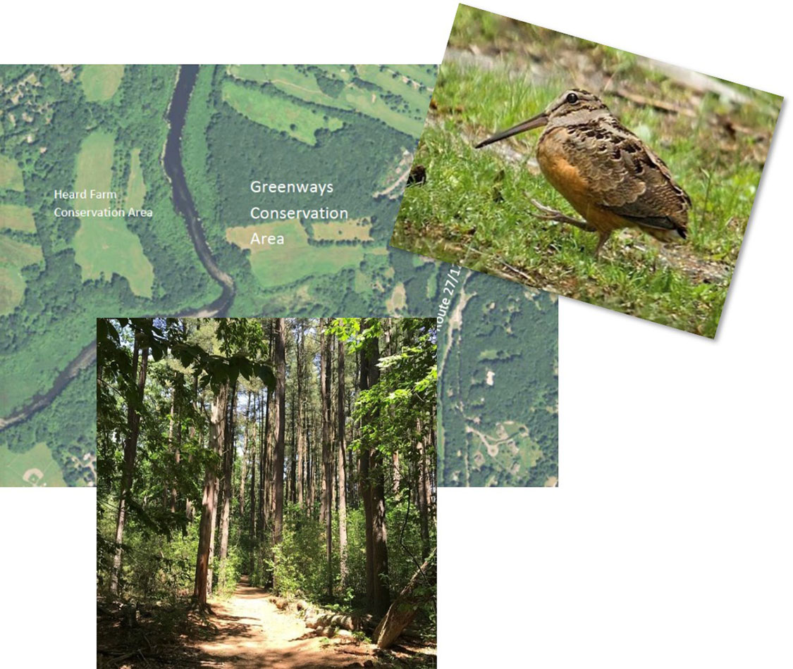 Wayland Conservation Commission & the Sudbury Valley Trustees, Wayland, Ma. - Land Management Plan for Greenways Conservation Area