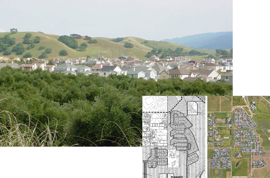 South Livermore Specific Plan - Land Management Plan for Greenways Conservation Area - Livermore, California Collage Image