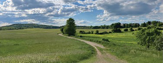 Collaborative Ecological Stewardship Planning Woodsom Farm Park and Amesbury Town Forest Photo