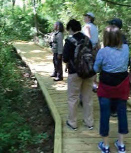 Collaborative Ecological Stewardship Planning Trails and Boardwalks Newbury Court Concord MA Red Maple Swamp Boardwalk Sudbury MA Photo