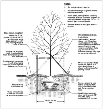 Collaborative Ecological Stewardship Planning Specification from Tree Ordinance Manual Image