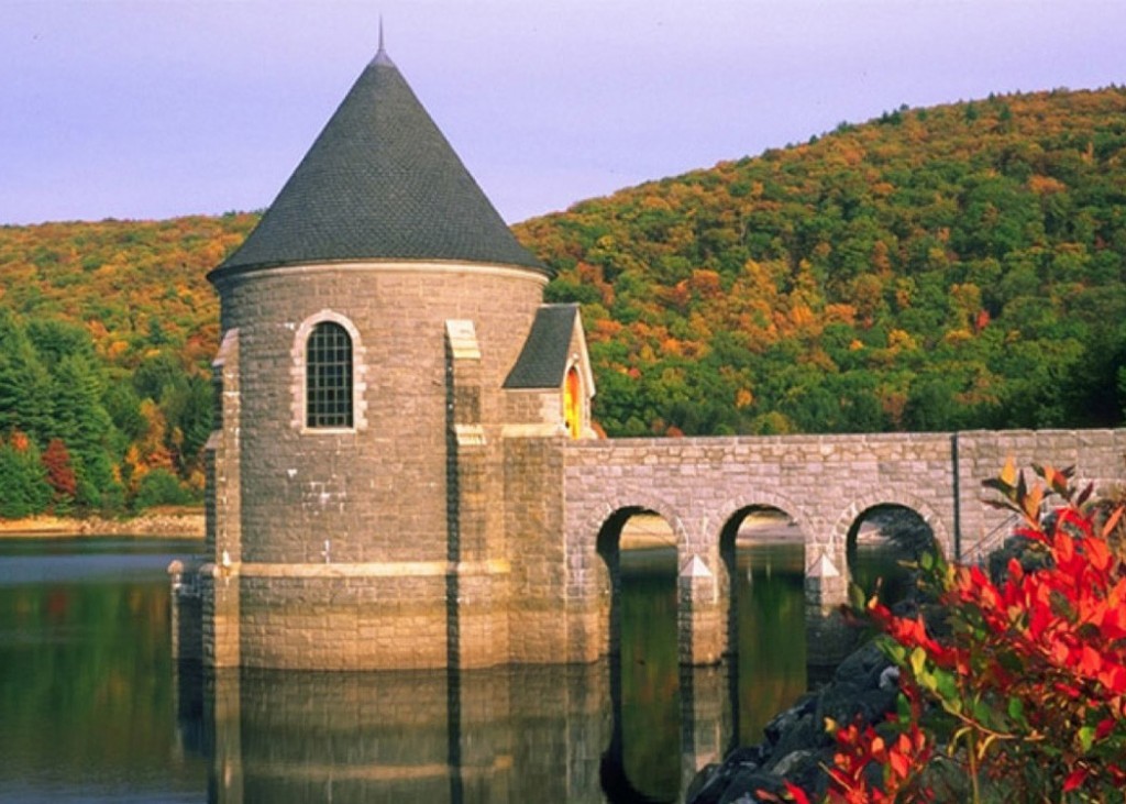 Engineering The Collaborative