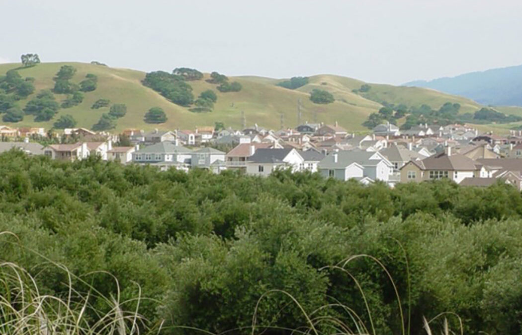 South Livermore Specific Plan