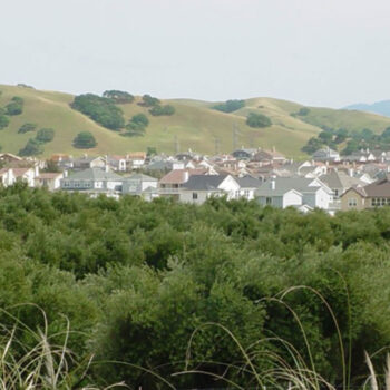 South Livermore Specific Plan