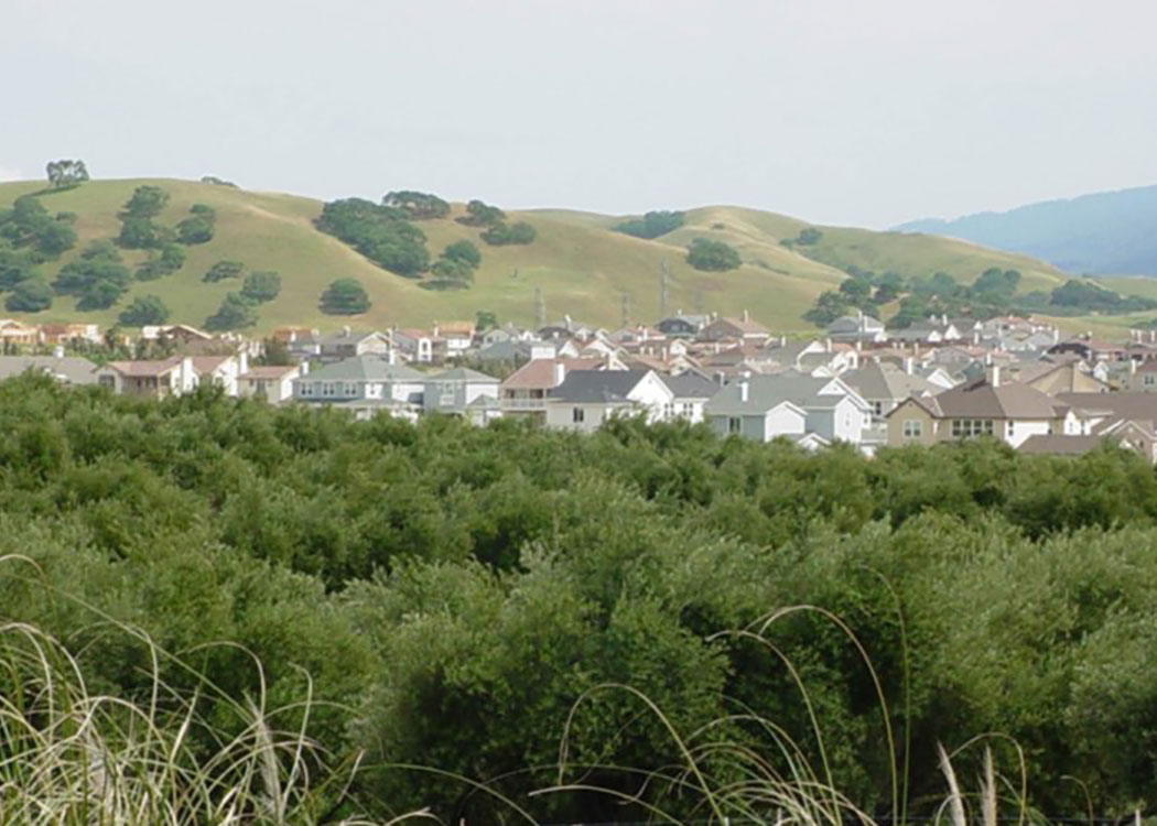 South Livermore Specific Plan