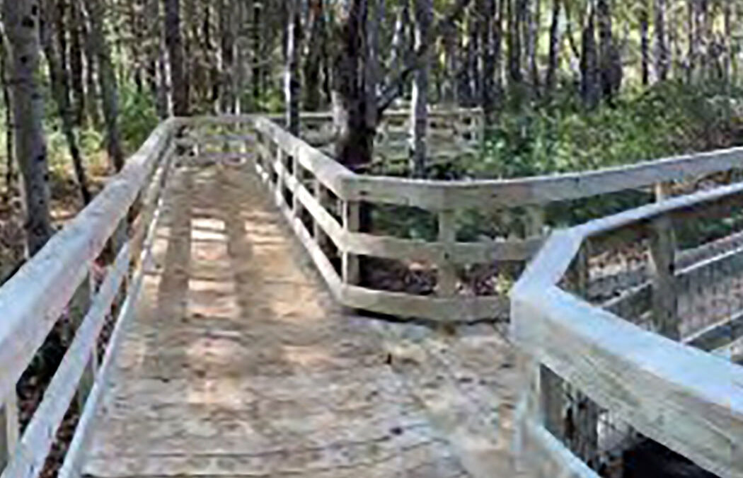 Trails & Boardwalks