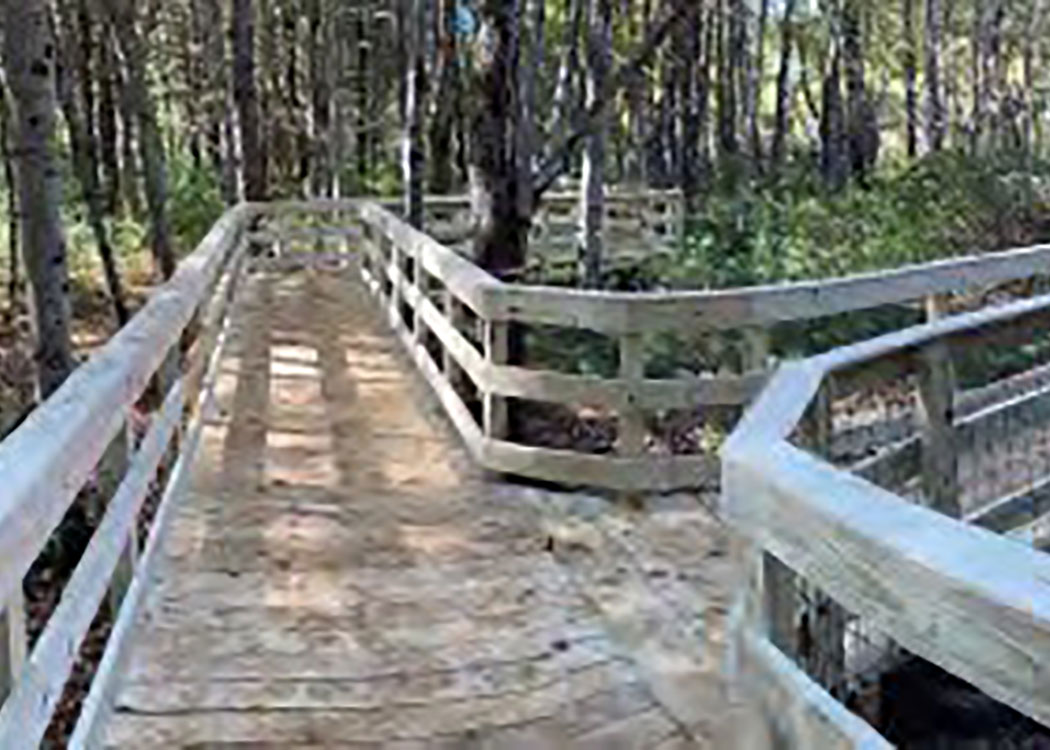 Trails & Boardwalks