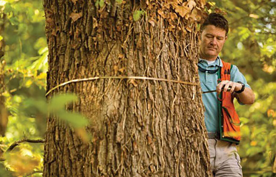 Tree Conservation Ordinance and Arboriculture Program